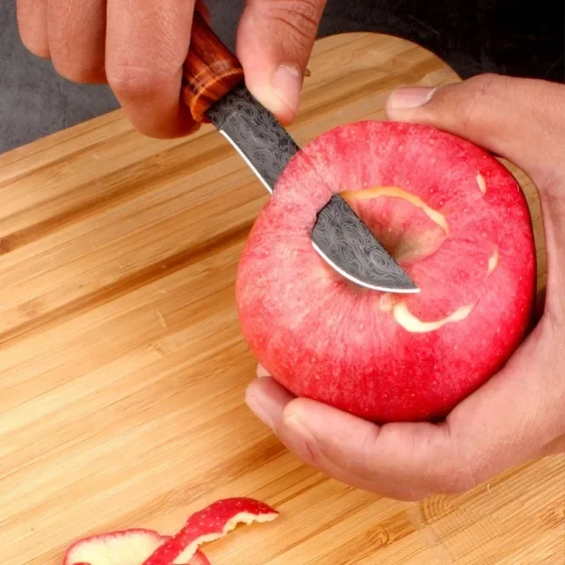 Utility Knife Slice Meat Fruit - Camping Cooking Multi Tool のレビューと価格